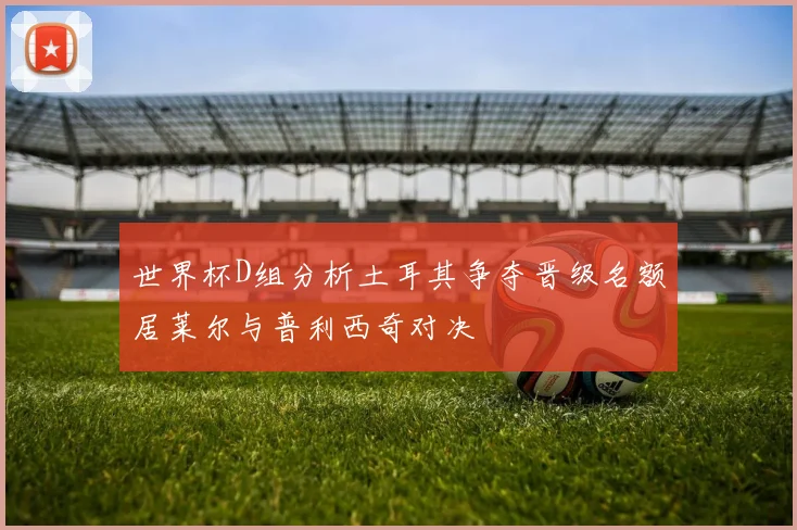 世界杯D组分析土耳其争夺晋级名额居莱尔与普利西奇对决