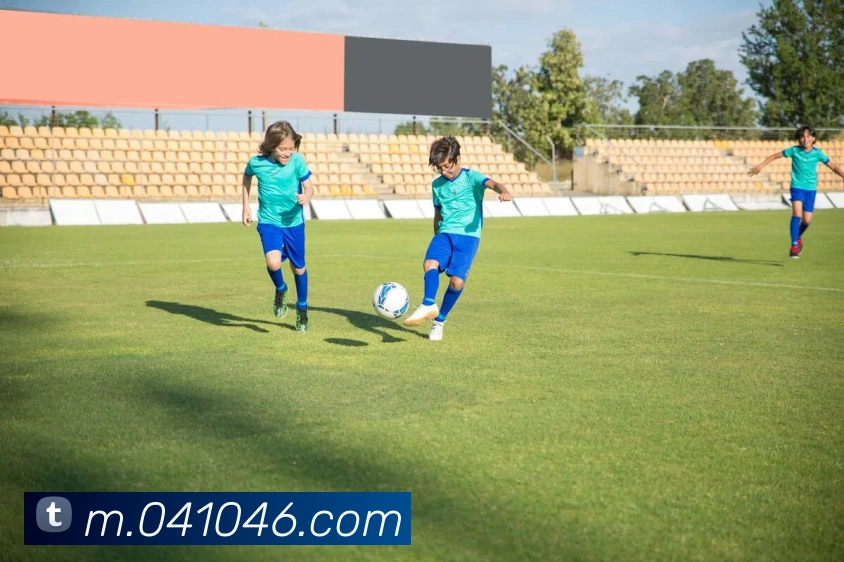 MK体育平台生态图